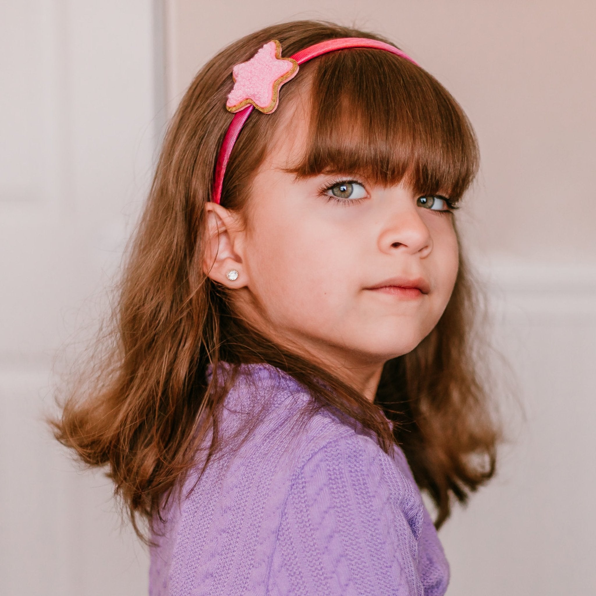 Interchangeable Rhinestone Charm Headband and Hair Clips - FROG SAC